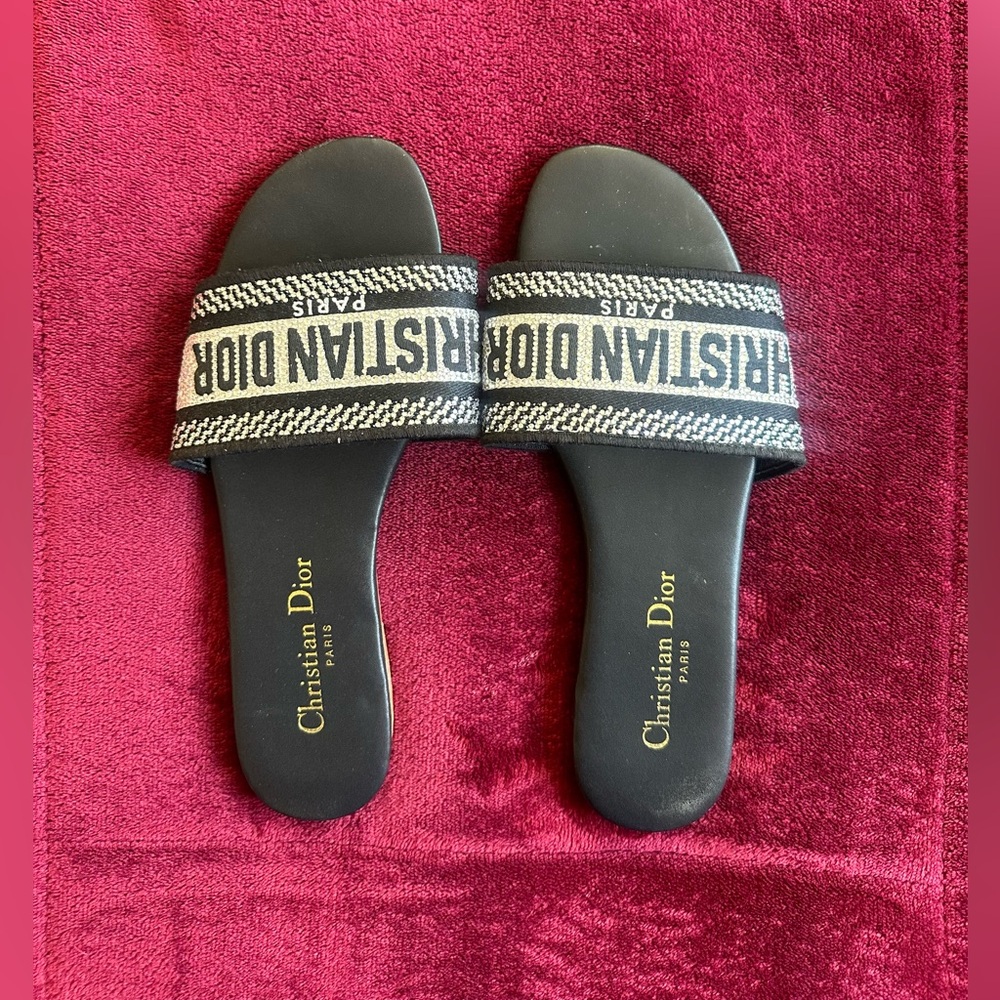 Christian Dior Dway slide